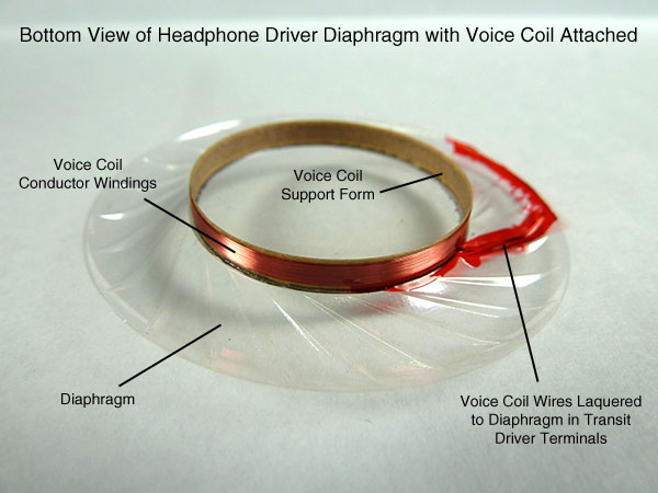 Headphone101_DynamicDrivers_Photo_VoiceCoilOnDiaphragm.jpg