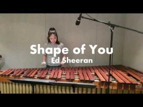 마림바로 연주하는 Shape of You - Ed sheeran / Marimba Cover