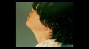 LAMP IN TERREN「Water Lily」Music Video