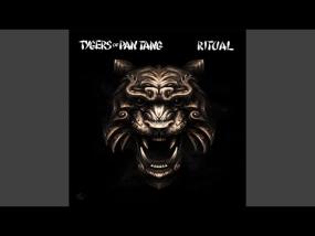 Tygers of Pan Tang - Raise Some Hell