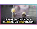 TANGZU CHANG LE, 탕주 장락 공주 유선 이어폰 측정 리뷰 & 공동구매