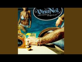 Vince Neil - Nobody's Fault