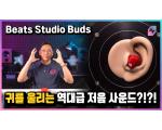 Beats Studio Buds, 비츠 스튜디오 버즈 측정 리뷰